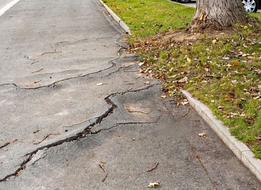 Asphalt driveway heaved by tree roots about to be repaired in an older Knoxville neighborhood